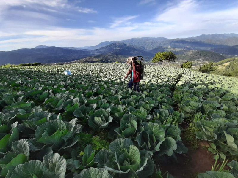 JCI-2020-Website-Update-004-1 (1)