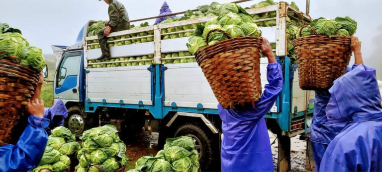 JCI-2020-Website-From-Farm-to-Fork-IMAGE-2-1