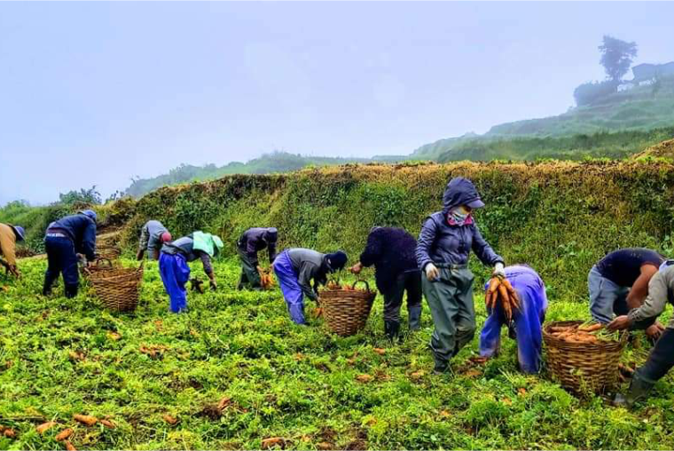 JCI-2020-Website-From-Farm-to-Fork-IMAGE-4-1