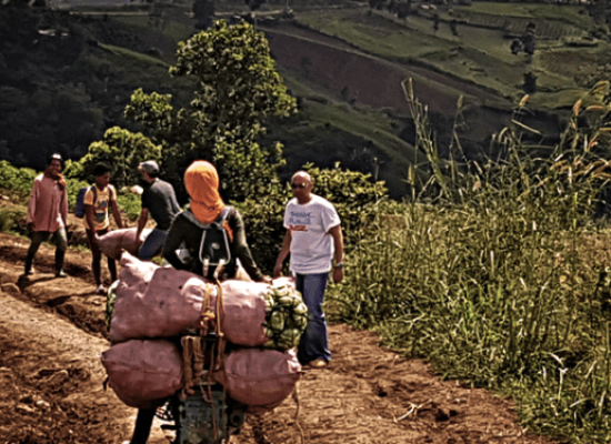 Peace-In-A-Cup-3-710x375